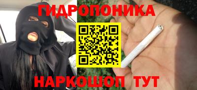 индика Краснодар