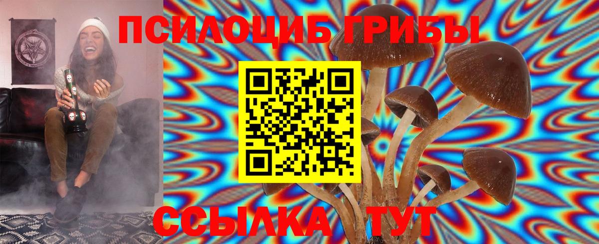 купить закладку  Обнинск  Псилоцибиновые грибы Psilocybine cubensis 